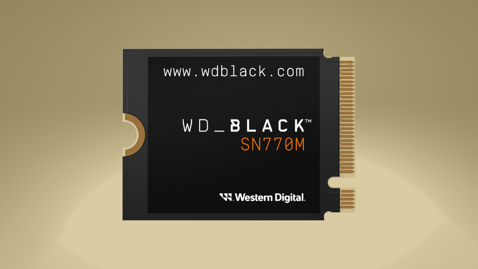 Western Digital WD_Black SN770M M.2 Internal SSD Western Digital WD_Black SN770M M.2 Internal SSD