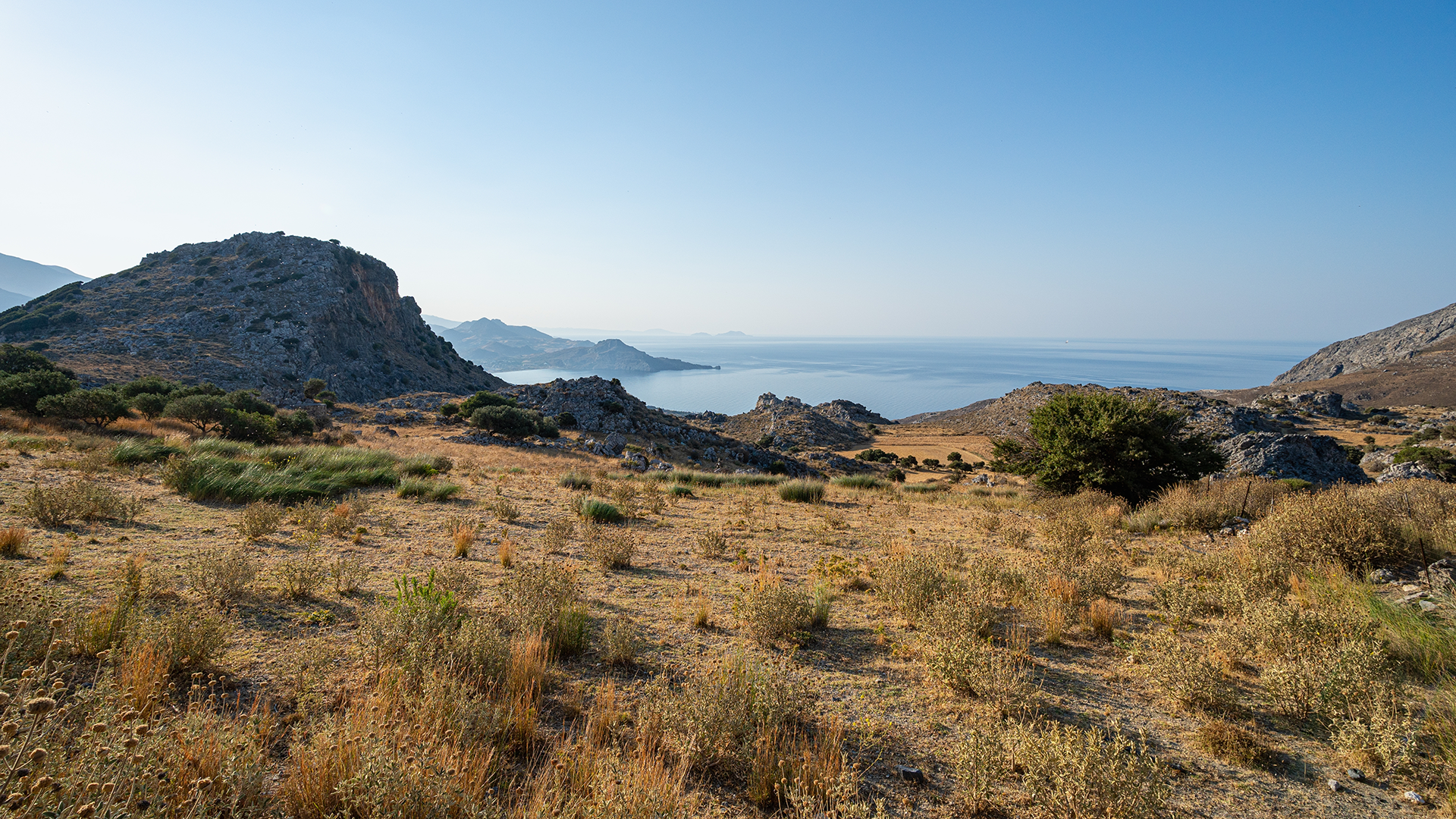 Wide-Angle and Ultra-Wide-Angle Lenses Wide-Angle and Ultra-Wide-Angle Lenses
