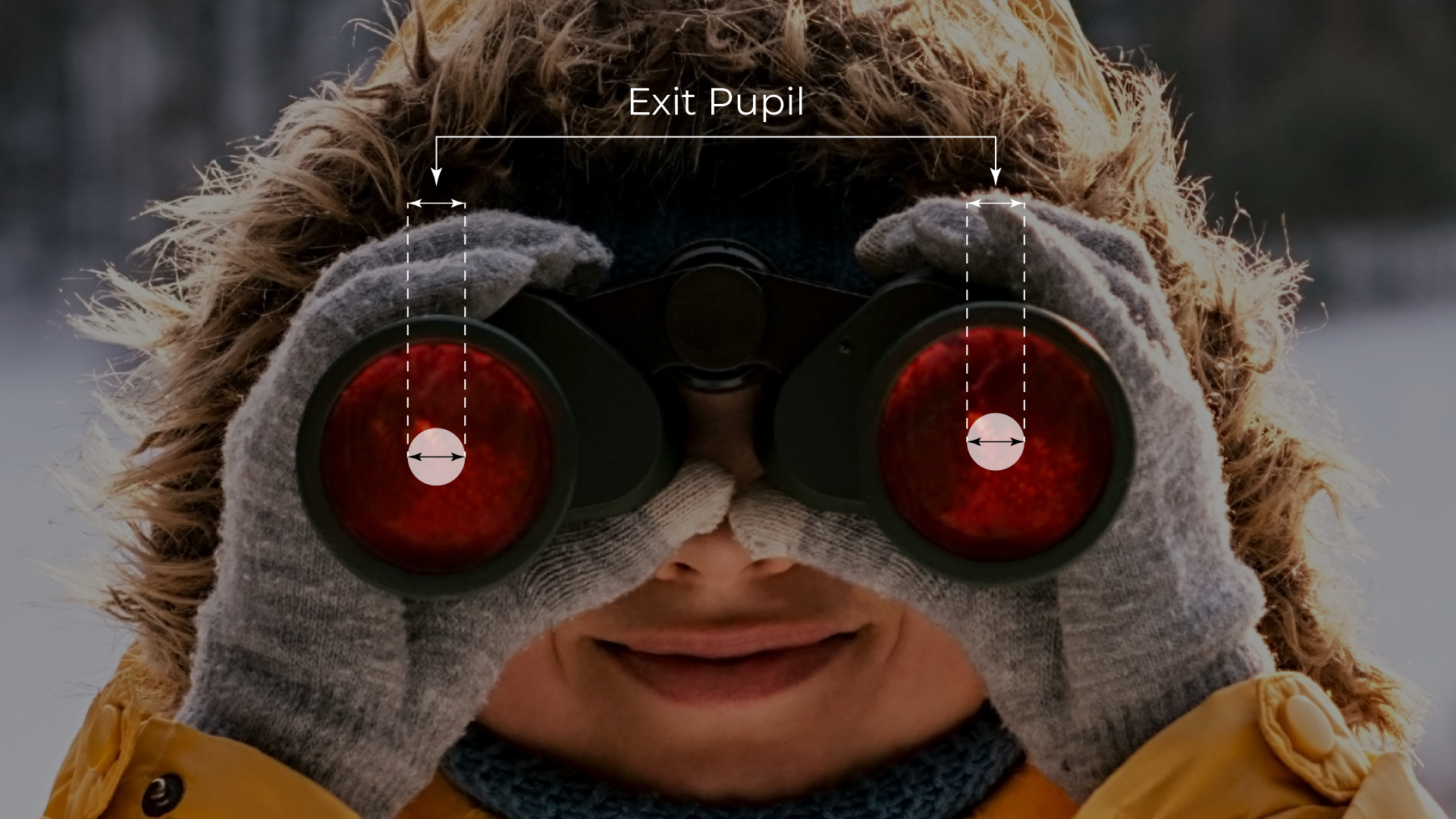 Exit Pupil