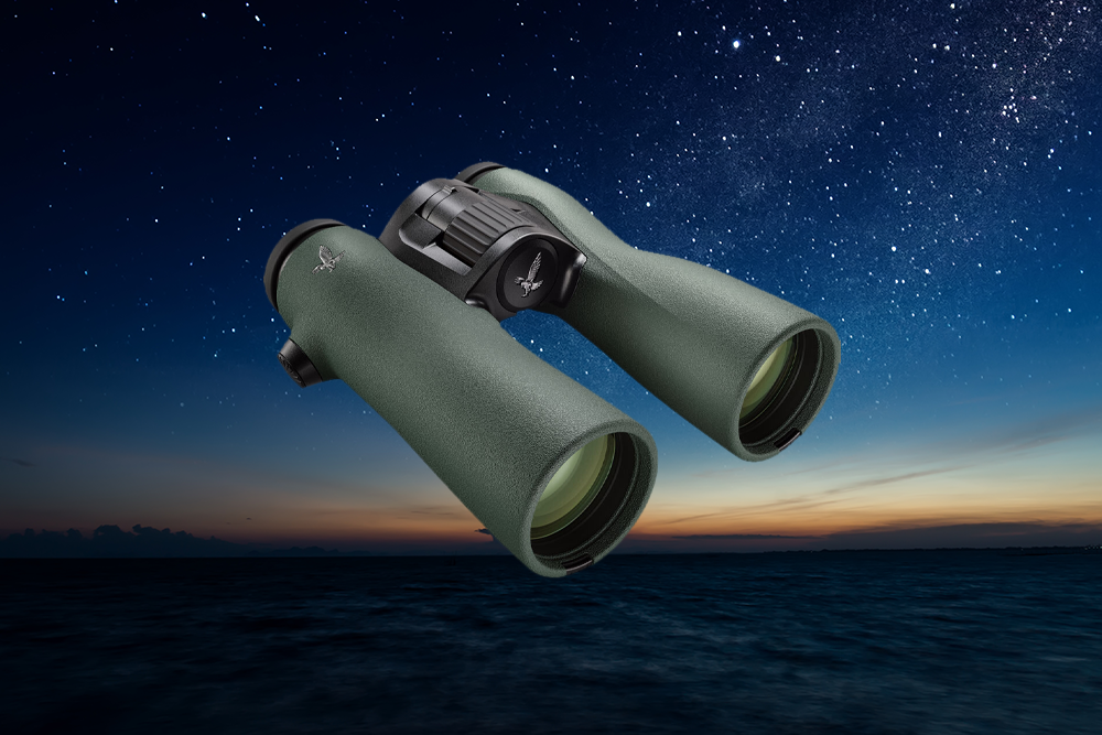 Traditional 8x42 and 10x42 “birding” binoculars are also great for stargazing and have lots of other uses.