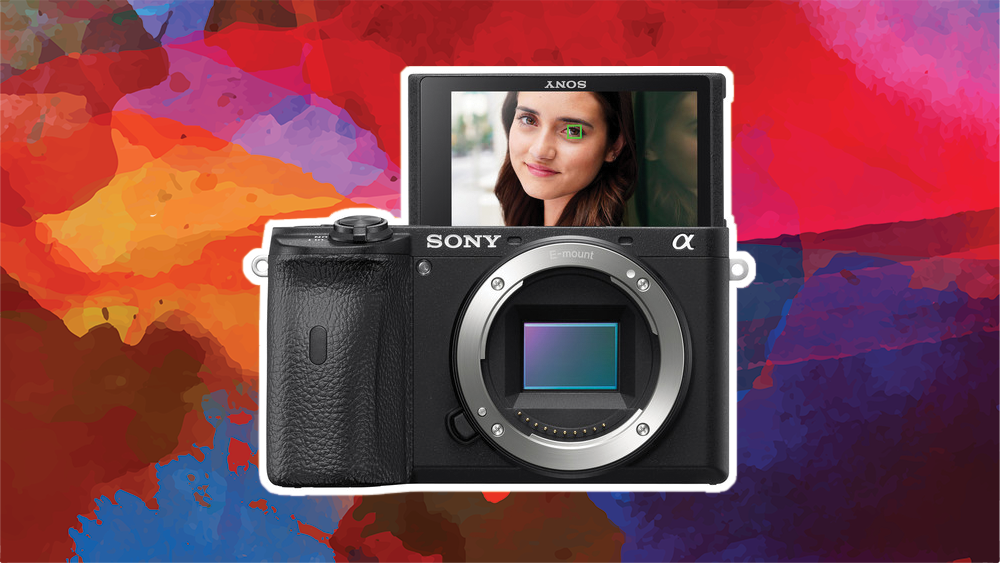 Sony a6600 Sony a6600