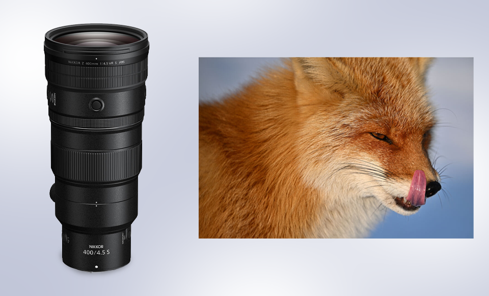 Nikon NIKKOR Z 400mm f/4.5 VR S Lens Nikon NIKKOR Z 400mm f/4.5 VR S Lens